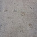 새나루펜션 이미지