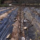 경담농장 이미지