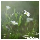 음악이야기 The end 이미지