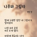 청윤주