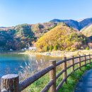 의리(義理)는 무덤에 있고 배신(背信)은 국회에 있다. 이미지