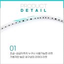 벌교중학교 이미지