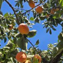 10월28일 화요일 충방 출석부 이미지