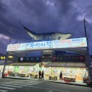 일출수산 | 강릉 주문진횟집 대방어회맛집 일출수산 회포장추천후기