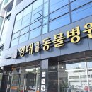 영대연합동물병원 이미지