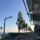 영종의 노을을 담은 어반스케치 | 영종도 씨사이드 레일바이크 ( 예약, 운행 시간, 씨사이드파크, 영종역사관 ) 내돈내산 솔직후기💖