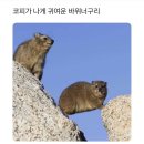 연산스포츠센타 | 나애일상🍄‍🟫