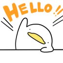개꿀잼 애견카페 이미지