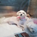 써니메디컬 이미지