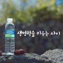 화산광고