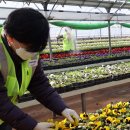 백양산 양묘장 이미지