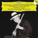 Vivaldi: Flute Concerto No. 3 in D Major, RV 428 "Il Gardellino" 이미지