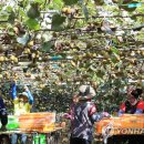 김진근농장 이미지