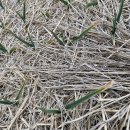 홍산농장 이미지