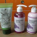 소울워시 이미지