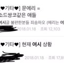 여시에 대놓고 정치질하러 온다는 쌍코 이미지