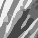 트레이스(Trace) 이미지