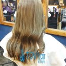 토브헤어 이미지