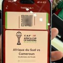 아프리카 | 아프리카컵 모로코 직관 후기 2025 아프리카네이션스컵 일정 및 우승 후보