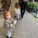 메디셀린 이미지