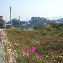 양도면-5 이미지