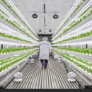 유연농장 이미지