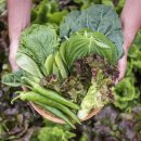 대구농장 이미지