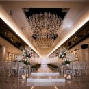 디엘사이언스 이미지