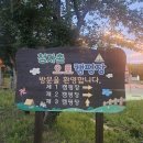 원러브핫도그 | 전남 강진 캠핑장 추천 [강진 청자촌 오토캠핑장] 데크존 T-5 다녀온 후기
