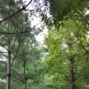 황산로 이미지