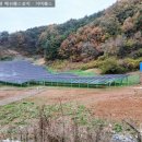 멧돼지 태양광발전소 이미지