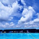 황금수영장 이미지