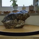 금강호피석(황금 두꺼비) 이미지
