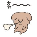 오로라애견 이미지