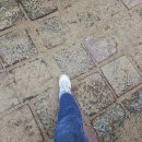 용하공원로 7 부자아빠 부동산 앞 횡단보도 | 일산신도시 임장보고서(문촌마을공인중개소,오마학군, 후곡학원가, 원마운트,노래하는분수대,JTBC일산...