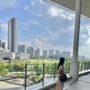 더30 | [Bag] 루이비통 스피디 소프트 다크 30 후기, 더 세련된 다크 모노그램