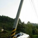 둘레길펜션청솔 이미지