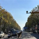 동산로1 이미지