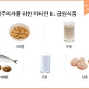 B12 이미지