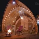 스테이그린 이미지