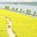 시민공원역사(2호선) | 경기명소 '경기도 구리시'의 오아시스: 구리한강시민공원