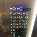 더블스카이 이미지