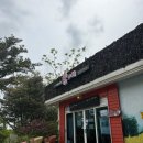 [교래 숲애칼국수] 제주 에코랜드 근처 보말 녹두죽 맛집 솔직후기