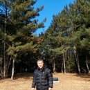 고성산소