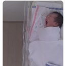분당제일산후조리원 2관 | 분당제일병원 산후조리원 (2관) 후기/내부사진/조리원생활