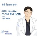 수서동물병원 | [송파 고양이 종양수술] 고양이 간 종괴 CT 진단 및 제거 수술 후기 : 24시 리움동물병원