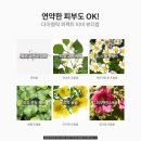 6198 | [맘스홀릭지후맘] 셀레피덤 여배우 박환희 비비크림 50명 당첨자 발표