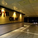 셀린트(CELINT) 이미지