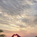 현지약국 이미지