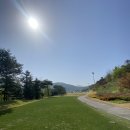 하와이 골프스튜디오 이미지